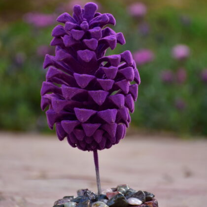 Fleuriste Pine Cone
