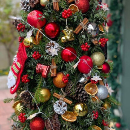 festive cheers