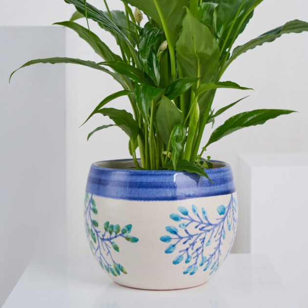 Lily Peace - Image 3