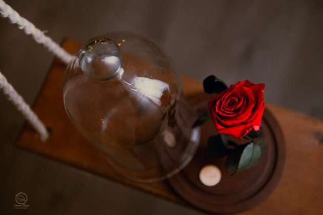 Eternety Rose - Image 2