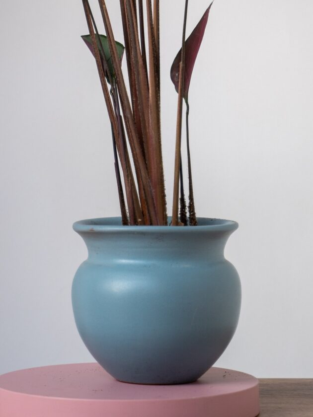 Tranquil Bloom - Image 4