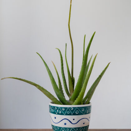 Vera Pot
