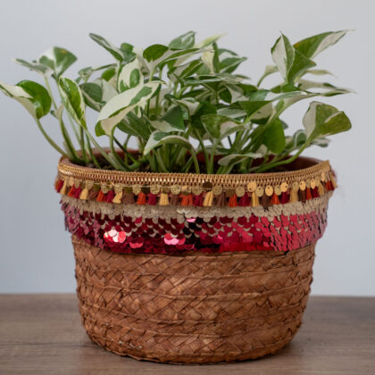 Marble Queen Njoy Bamboo basket