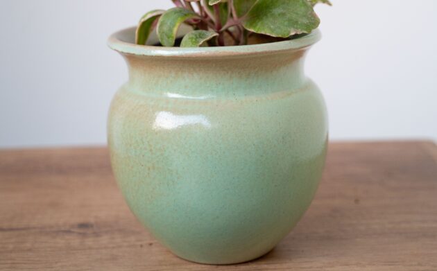 Pink & Green Alternanthera in Ceramic Planter - Image 5