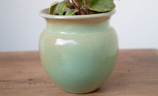 Pink & Green Alternanthera in Ceramic Planter - Image 2
