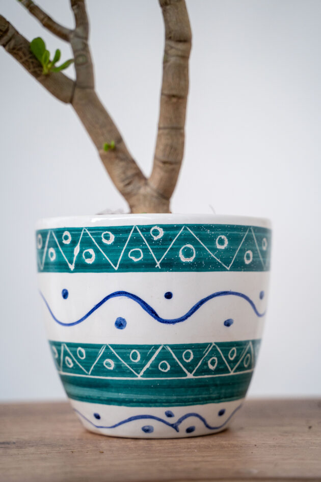 Aloe Ceramic Pot - Image 2