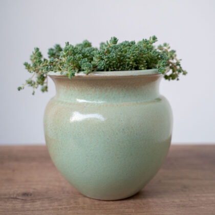 Evergreen Charm