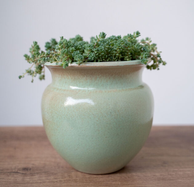 Evergreen Charm