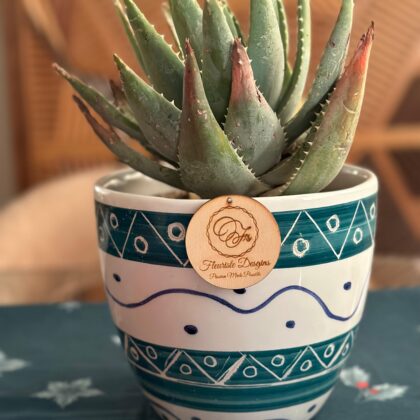 Aloe Ceramic Pot