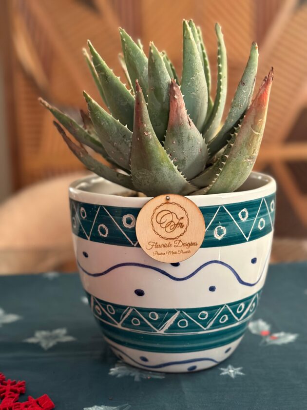 Aloe Ceramic Pot