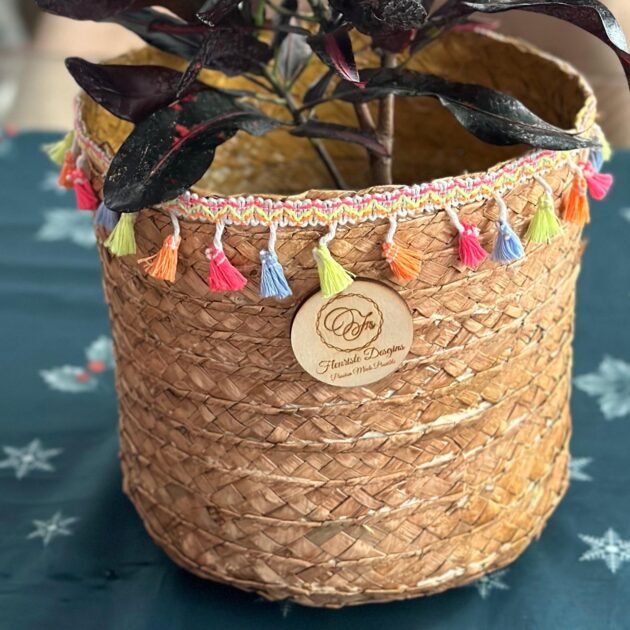 Croton Basket - Image 3